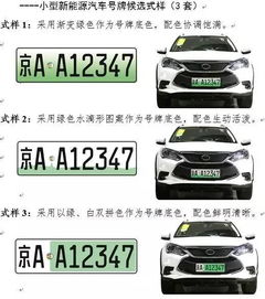 政策解讀 公安部啟用新能源汽車專用號牌，推動綠色出行